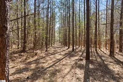 00 Todd Road, Gray Court, SC 29645 - Photo 7