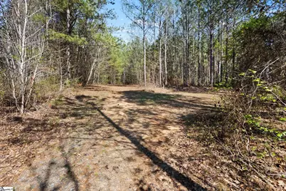 00 Todd Road, Gray Court, SC 29645 - Photo 11