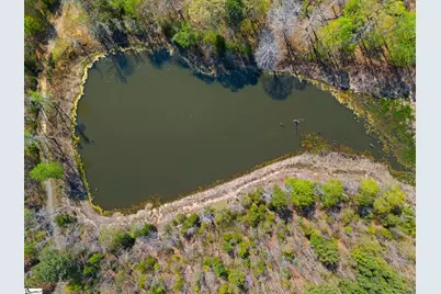 00 Todd Road, Gray Court, SC 29645 - Photo 21