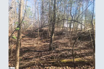 [Address not provided], Waterloo, SC 29384 - Photo 9