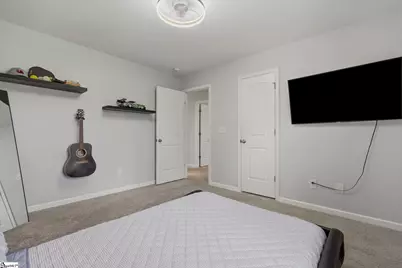 133 Frost Flower Way, Fountain Inn, SC 29644 - Photo 19