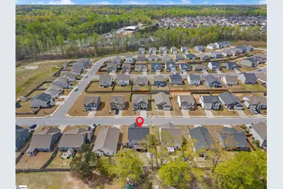 133 Frost Flower Way, Fountain Inn, SC 29644 - Photo 29