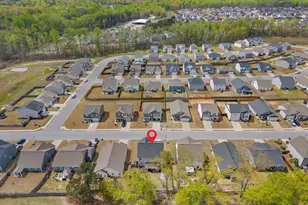 133 Frost Flower Wy, Fountain Inn, SC 29644 - Photo 29