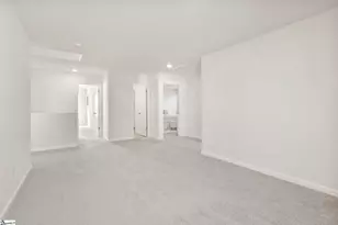113 Silicon Dr, Greenville, SC 29605 - Photo 23