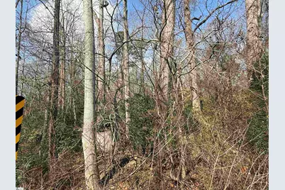 0 McCall Road, Greenville, SC 29607 - Photo 3