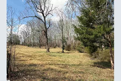 00 McCall Road, Greenville, SC 29607 - Photo 3