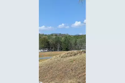 1040 Horse Whisper Run, Landrum, SC 29356 - Photo 23