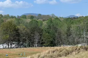 1040 Horse Whisper Run, Landrum, SC 29356 - Photo 23