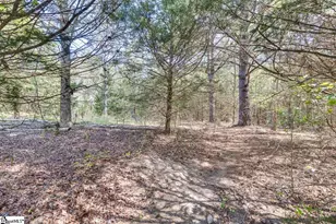 569 Willis Rd, Fountain Inn, SC 29644 - Photo 43