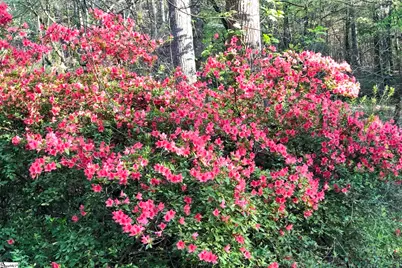 132 Rosecrest Road, Spartanburg, SC 29303 - Photo 45