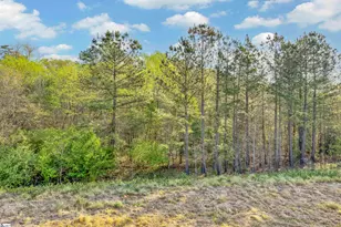 2258 Hemming Wy, Boiling Springs, SC 29316 - Photo 31