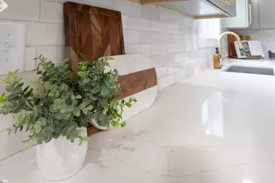 114 Spartanburg Street, Greenville, SC 29607 - Photo 9