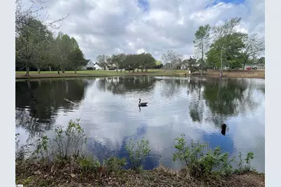 522 Peach Grove Place, Mauldin, SC 29673 - Photo 33