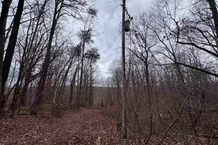 100 Chestnut Mountain Rd, Travelers Rest, SC 29690 - Photo 1