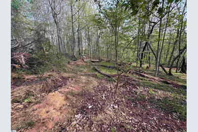 100 Chestnut Mountain Road, Travelers Rest, SC 29690 - Photo 7