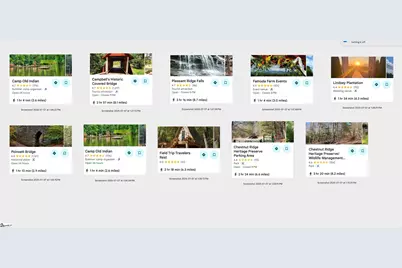 100 Chestnut Mountain Road, Travelers Rest, SC 29690 - Photo 13