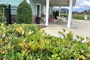 19 Moray Pl, Simpsonville, SC 29681 - Photo 41