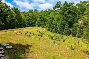 2811 Saluda Dam Rd, Easley, SC 29640 - Photo 31