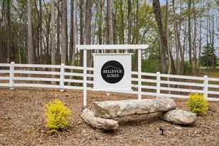 331 Bakerville Rd, Easley, SC 29642 - Photo 3