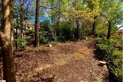 317 Sorono Drive, Greenville, SC 29609 - Photo 41