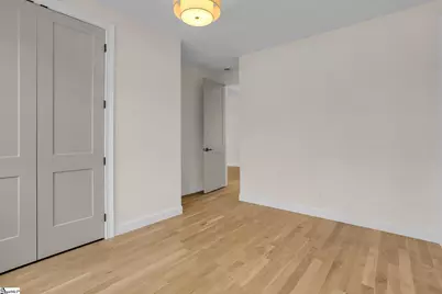 14 Plum Drive, Greenville, SC 29605 - Photo 33