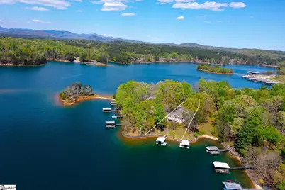 1007 Gap Hill Road, Six Mile, SC 29682 - Photo 3