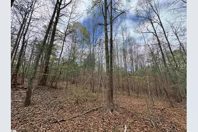 850 Lebanon Road, Pendleton, SC 29670 - Photo 45