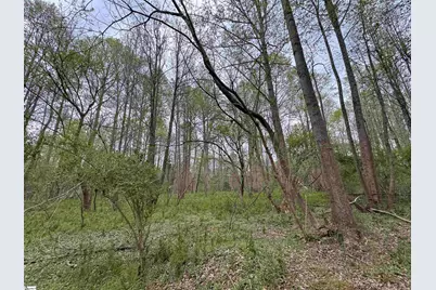 850 Lebanon Road, Pendleton, SC 29670 - Photo 37