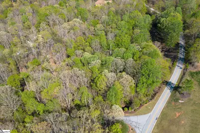 43 Alsace Way, Travelers Rest, SC 29690 - Photo 3