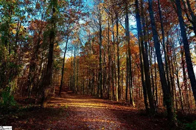 200 Chestnut Mountain Road, Travelers Rest, SC 29660 - Photo 7