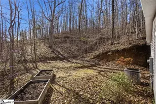 367 Bright Eyes Dr, Westminster, SC 29693 - Photo 31