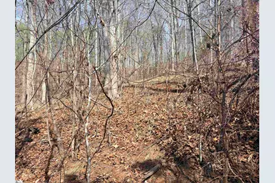 167 Julie Way, Pickens, SC 29671 - Photo 1