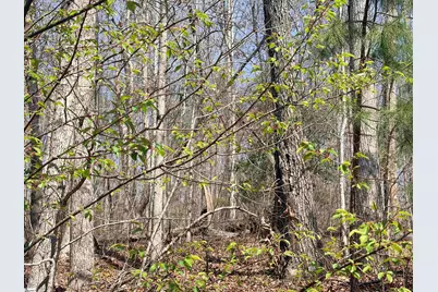 167 Julie Way, Pickens, SC 29671 - Photo 5