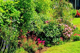 5 Waterville Wy, Simpsonville, SC 29681 - Photo 45