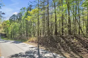 00 Pinewood Rd, Spartanburg, SC 29302 - Photo 1