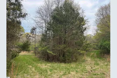 1511 Flat Rock Road, Starr, SC 29684 - Photo 3