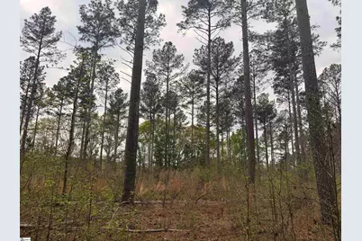 1511 Flat Rock Road, Starr, SC 29684 - Photo 5