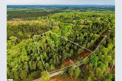 579 Mordeci Mountain Road, Gray Court, SC 29645 - Photo 3