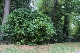 112 Sandpiper Ln, Greenville, SC 29607 - Photo 41