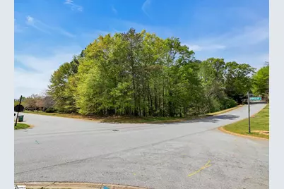 602 Mount Vernon Lane, Duncan, SC 29301 - Photo 13