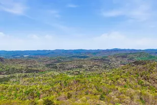 630 Upper Springs Rd, Pickens, SC 29671 - Photo 17