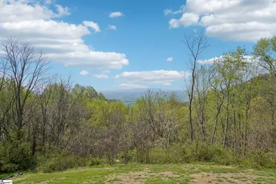 68 Raven Road, Landrum, SC 29356 - Photo 39