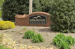 219 E Thistle Ln, Greenville, SC 29615 - Photo 47