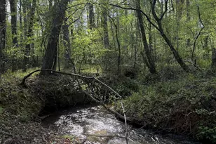 36 Key Hollow Ln, Travelers Rest, SC 29690 - Photo 15