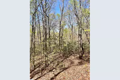 00 Sc-11 Highway, Travelers Rest, SC 29690 - Photo 5