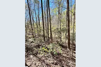 00 Sc-11 Highway, Travelers Rest, SC 29690 - Photo 11