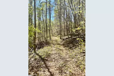 00 Sc-11 Highway, Travelers Rest, SC 29690 - Photo 15