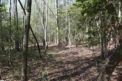 277 Philadelphia Church Road, Ellenboro, NC 28040 - Photo 29