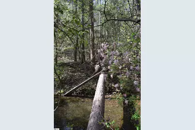 277 Philadelphia Church Road, Ellenboro, NC 28040 - Photo 21