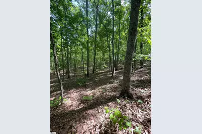 0 Packs Mountain Ridge Road, Taylors, SC 29687 - Photo 17